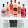Gin Tasting Set: Pink Gin 6x0,02l -Spirituosen Verkaufsladen 308326 Product 617c