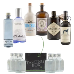 Gin Tasting Set: Einstieg Box Nr. 1 6x0,02l