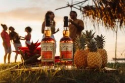 Plantation Rum Pineapple Stiggins Fancy 40% 0,7l -Spirituosen Verkaufsladen stiggins sunset party websize 8 scaled 1